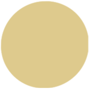 Gold Prom Dresses Canada